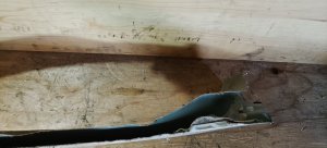 Крыло заднее левое HONDA ACCORD OEM 04646SEA320ZZ CL9 CL8 CL7 2006